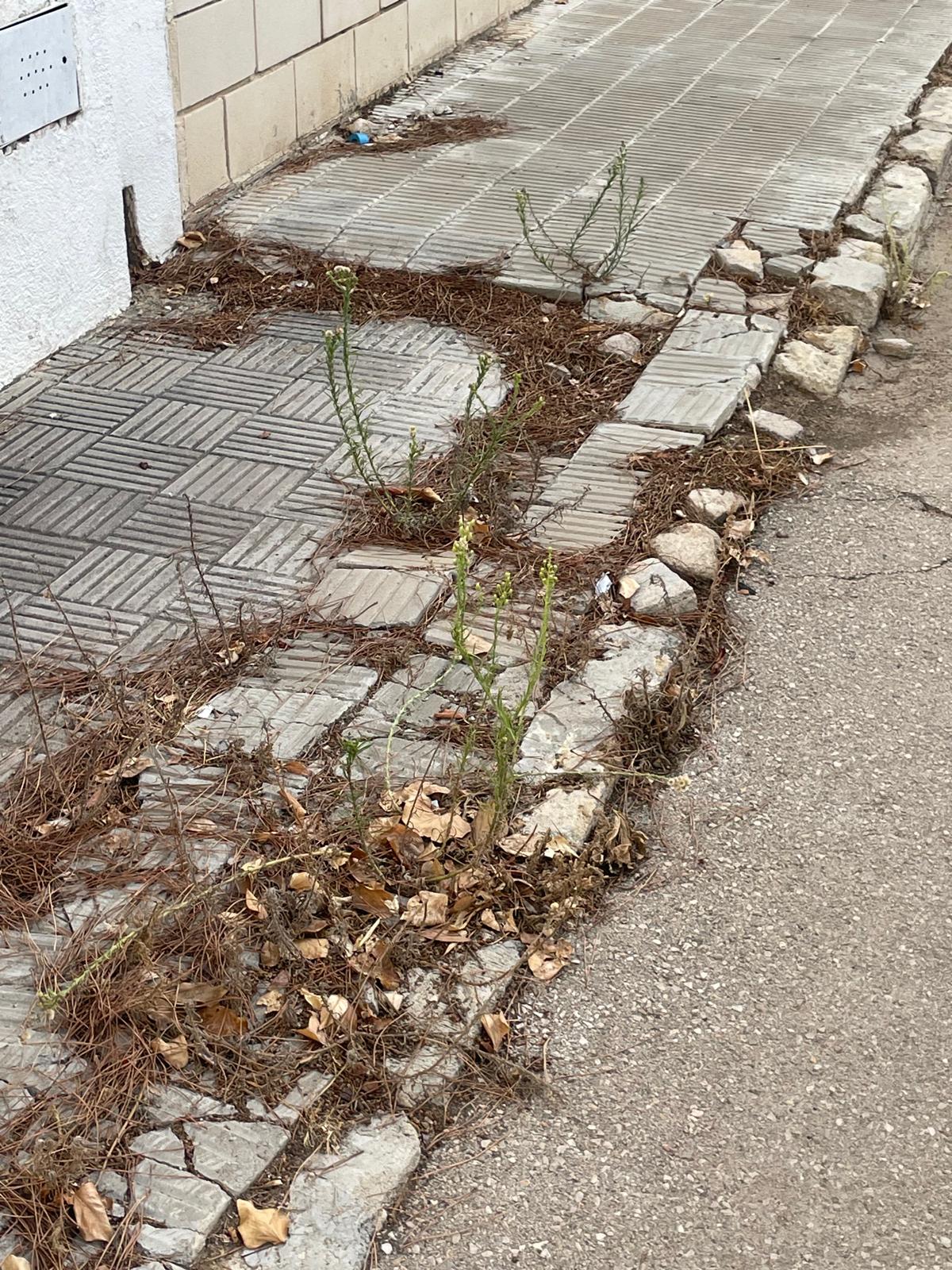Pavimentación