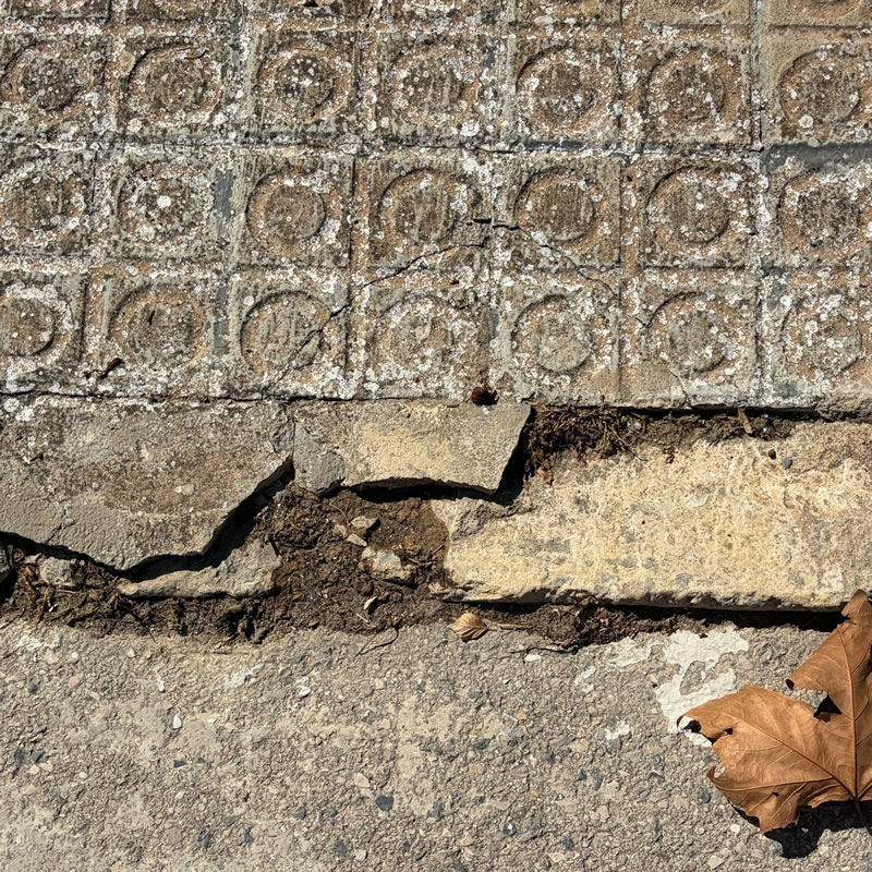 Pavimentación