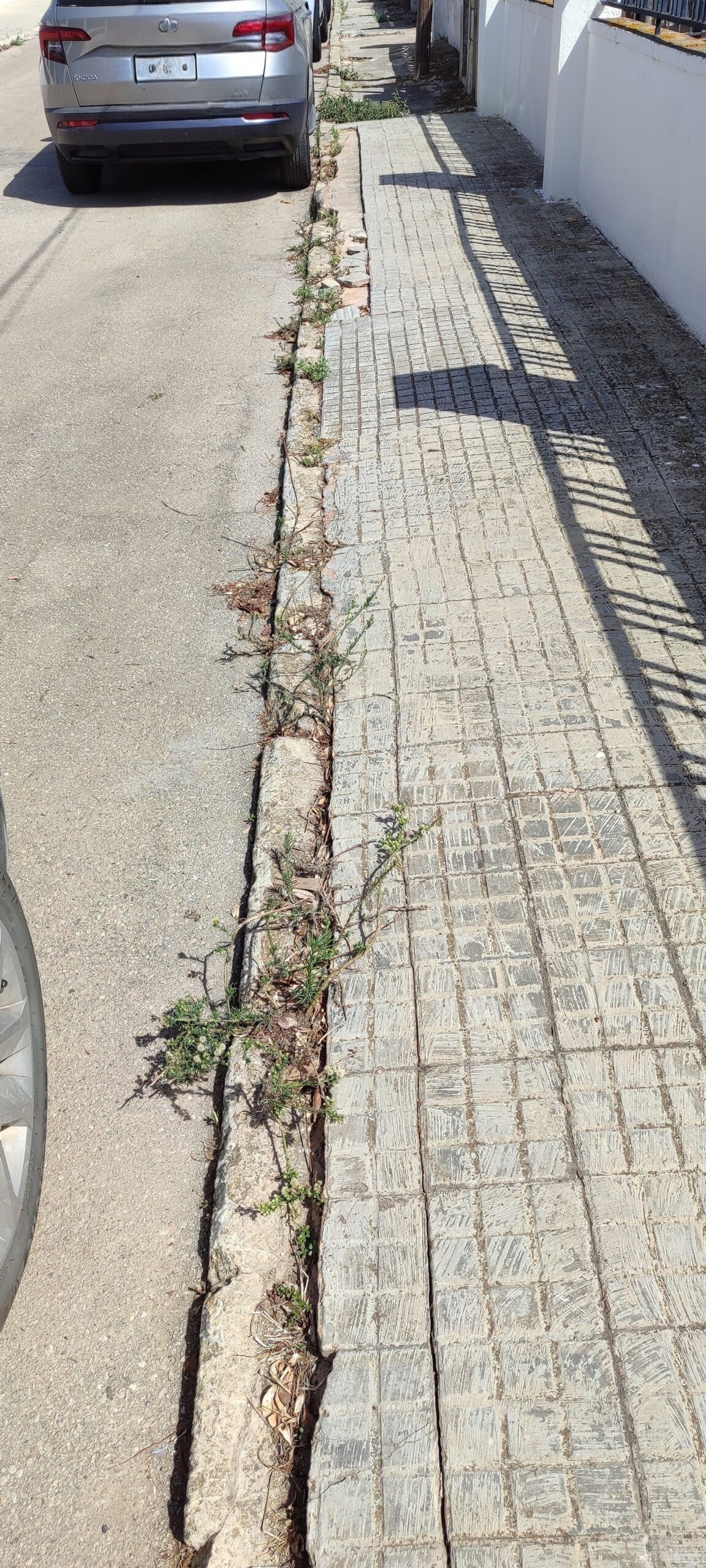 Pavimentación