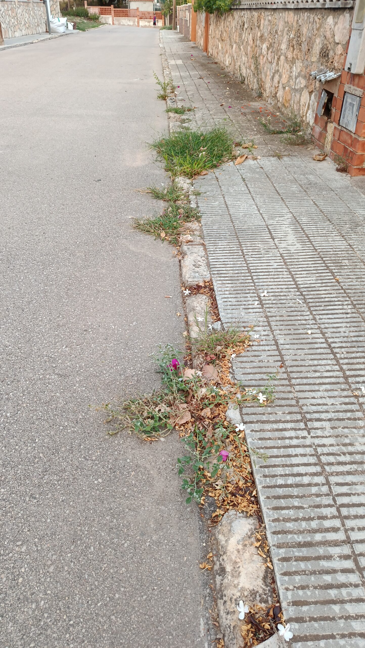 Pavimentación