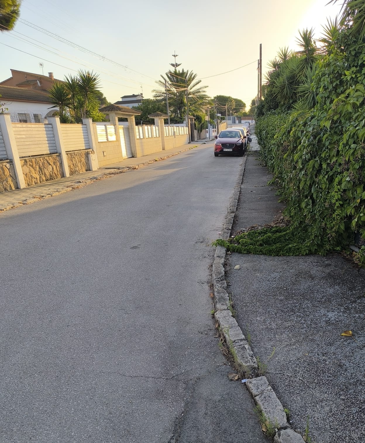 Pavimentación