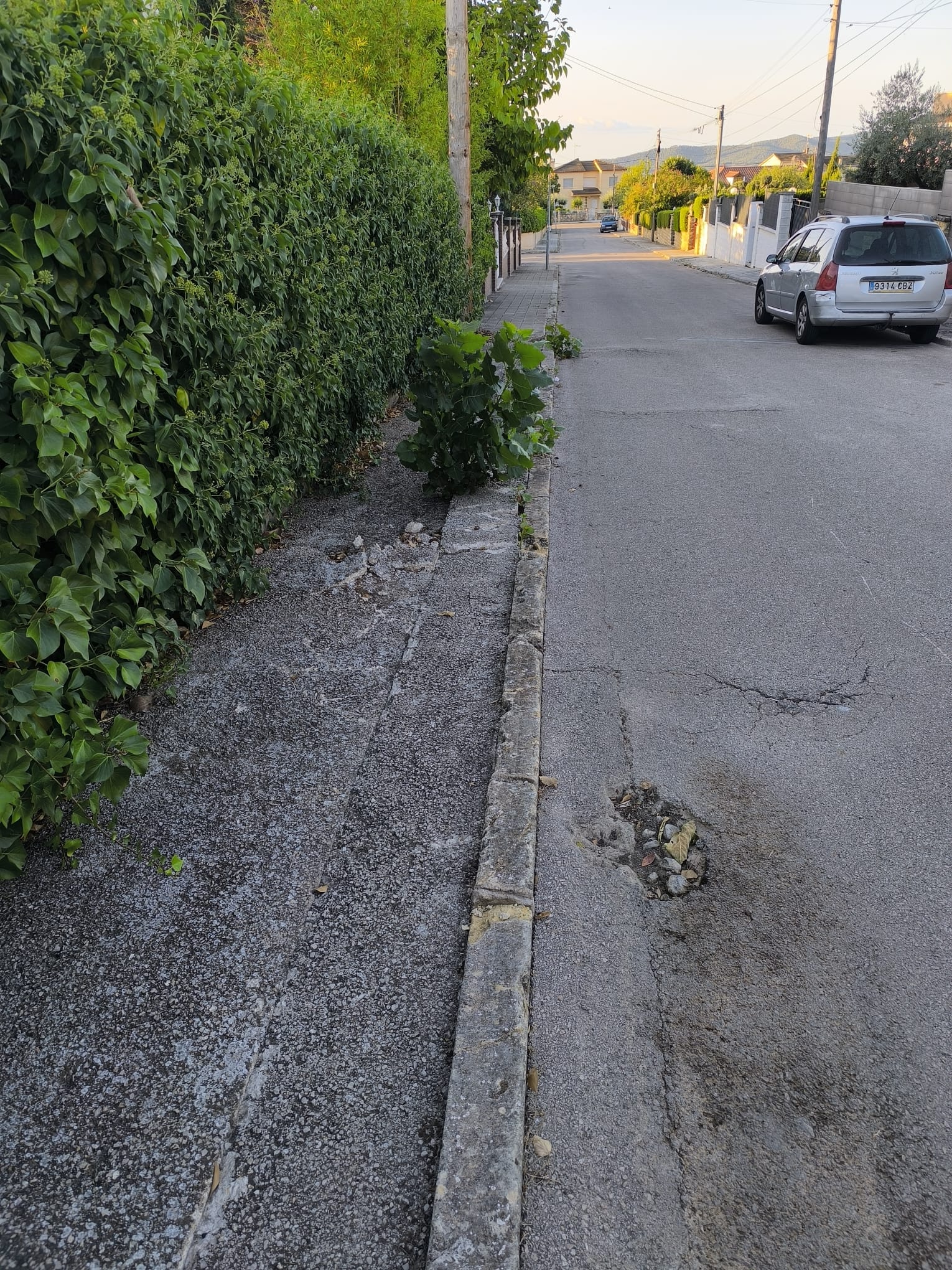 Pavimentación